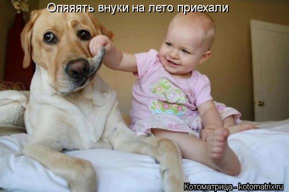 Опяяять внуки на лето приехали... Котоматрица: Опяяять внуки на лето приехали