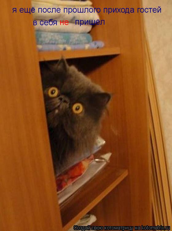 я ещё после прошлого прихода гостей в себя не пришёл... Котоматрица: я ещё после прошлого прихода гостей в себя не пришёл