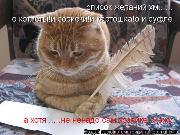 список желаний хм...... о котлеты!и сосиски!и картошка!о и суфле а хотя .....не ненадо сам хозяйке с... Котоматрица: список желаний хм...... о котлеты!и сосиски!и картошка!о и суфле а хотя .....не ненадо сам хозяйке скажу