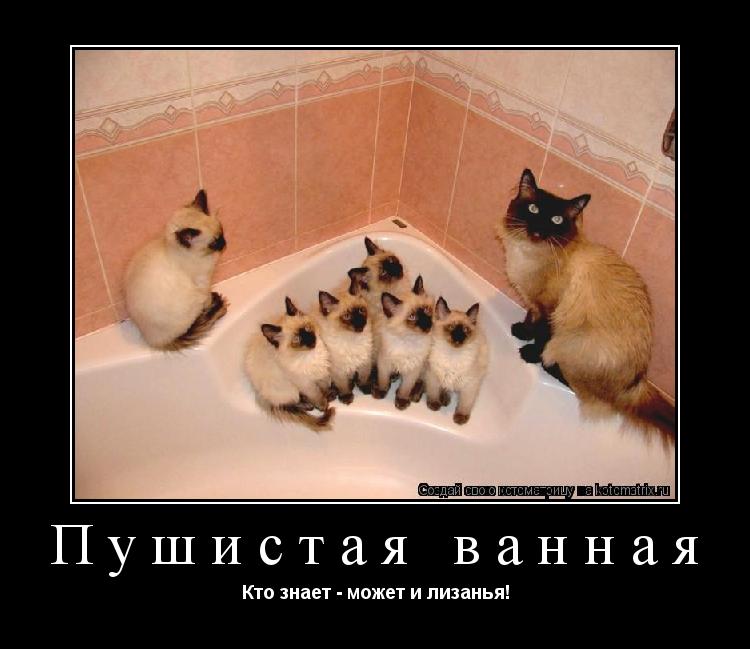Пушистая ванная Кто знает - может и лизанья!... Котоматрица: Пушистая ванная Кто знает - может и лизанья!