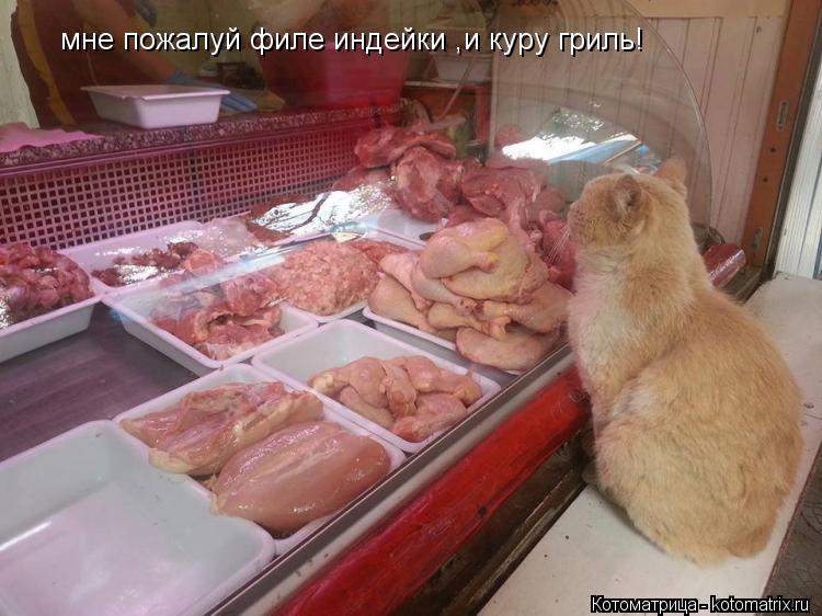 мне пожалуй филе индейки ,и куру гриль!... Котоматрица: мне пожалуй филе индейки ,и куру гриль!