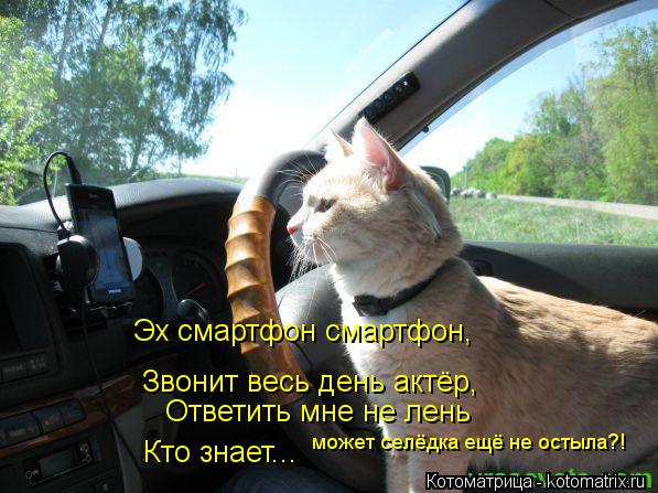 Эх смартфон смартфон, Звонит весь день актёр, Ответить мне не лень Кто знает... может селёдка ещё не ... Котоматрица: Эх смартфон смартфон, Звонит весь день актёр, Ответить мне не лень Кто знает... может селёдка ещё не остыла?!