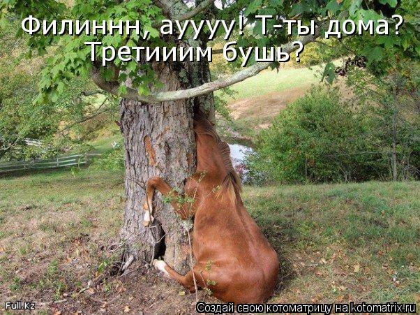 Филиннн, ауууу! Т-ты дома? Третииим бушь?... Котоматрица: Филиннн, ауууу! Т-ты дома? Третииим бушь?