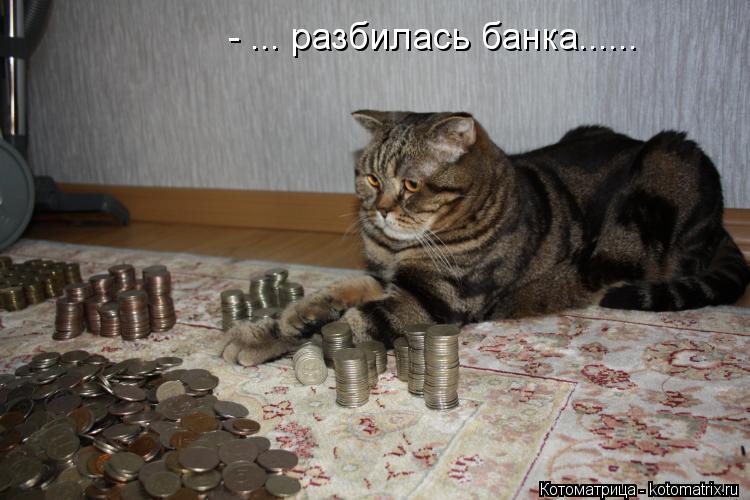 - ... разбилась банка......... Котоматрица: - ... разбилась банка......