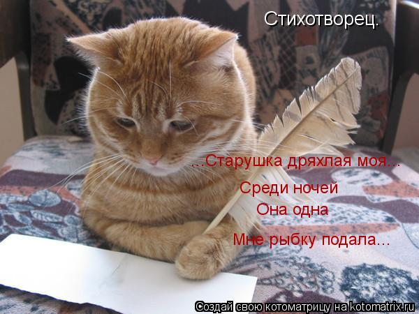 Котоматрица: Стихотворец. Среди ночей Она одна ...Старушка дряхлая моя... Мне рыбку подала...