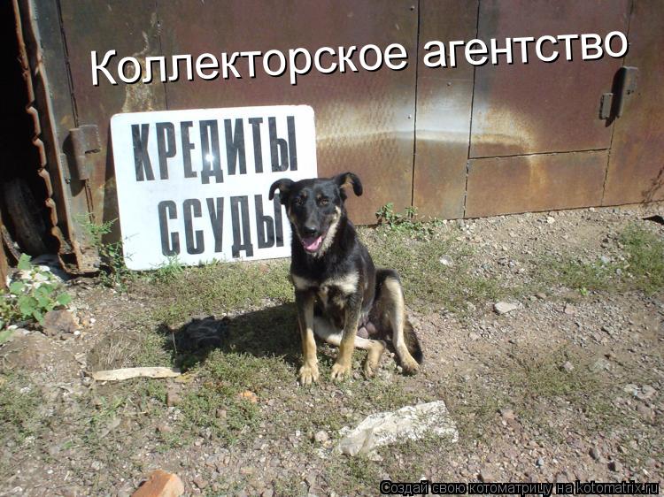 Коллекторское агентство... Котоматрица: Коллекторское агентство