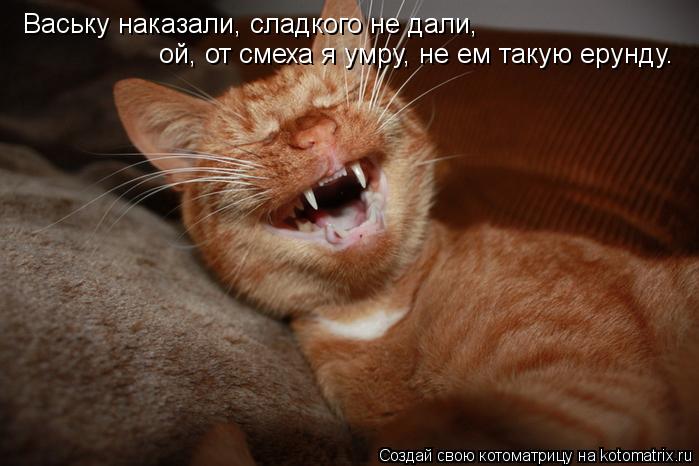 Ваську наказали, сладкого не дали, ой, от смеха я умру, не ем такую ерунду.... Котоматрица: Ваську наказали, сладкого не дали, ой, от смеха я умру, не ем такую ерунду.