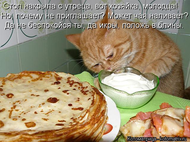 Стол накрыла с утреца, вот хозяйка, молодца! Но, почему не приглашает? Может чая наливает? Да не бесп... Котоматрица: Стол накрыла с утреца, вот хозяйка, молодца! Но, почему не приглашает? Может чая наливает? Да не беспокойся ты, да икры, положь в блины.