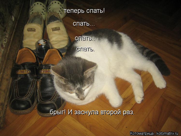 теперь спать! спать... спать.. спать. брыг! И заснула второй раз.... Котоматрица: теперь спать! спать... спать.. спать. брыг! И заснула второй раз.