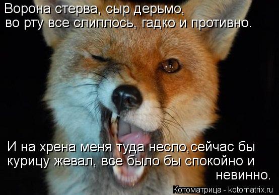 Котоматрица: Ворона стерва, сыр дерьмо, во рту все слиплось, гадко и противно. И на хрена меня туда несло,сейчас бы   невинно. курицу жевал, все было бы спок