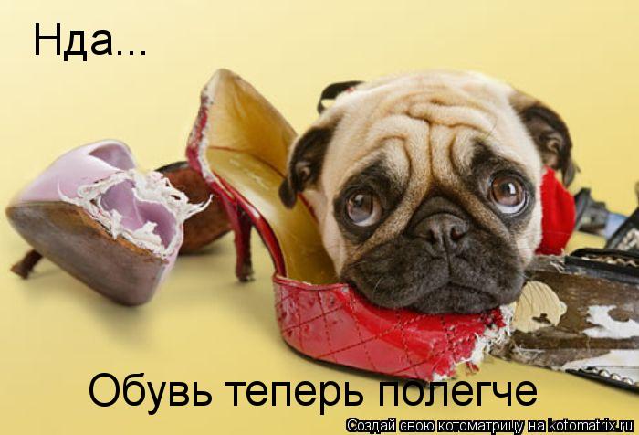 Нда... Обувь теперь полегче... Котоматрица: Нда... Обувь теперь полегче