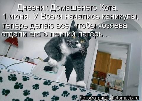 Дневник Домашенего Кота. 1 июня. У Вовки начались каникулы, теперь делаю всё, чтобы хозяева отдали ег... Котоматрица: Дневник Домашенего Кота. 1 июня. У Вовки начались каникулы, теперь делаю всё, чтобы хозяева отдали его в летний лагерь...