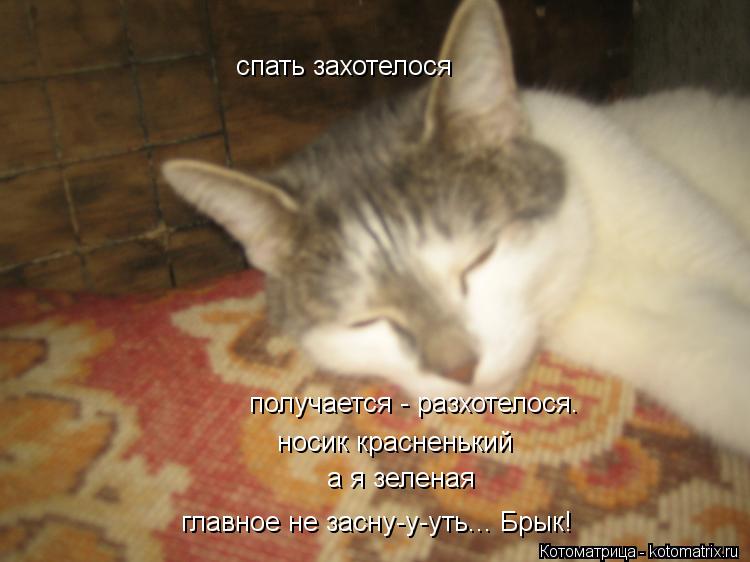 спать захотелося получается - разхотелося. носик красненький а я зеленая главное не засну-у-уть... Бр... Котоматрица: спать захотелося получается - разхотелося. носик красненький а я зеленая главное не засну-у-уть... Брык!