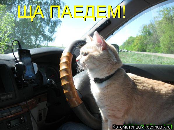 ЩА ПАЕДЕМ!... Котоматрица: ЩА ПАЕДЕМ!