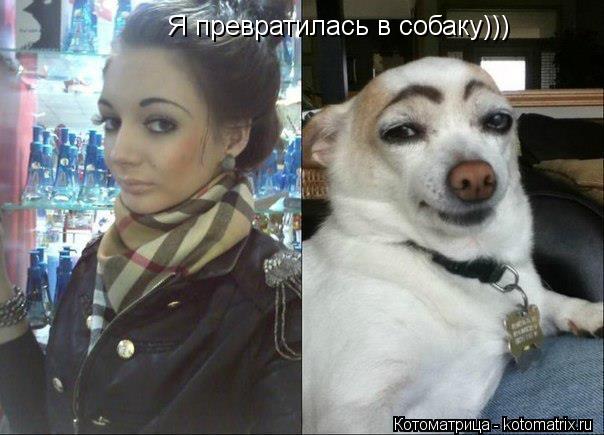 Я превратилась в собаку)))... Котоматрица: Я превратилась в собаку)))