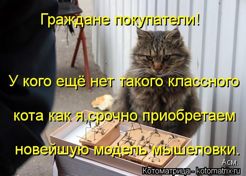 Граждане покупатели! У кого ещё нет такого классного кота как я,срочно приобретаем новейшую модель м... Котоматрица: Граждане покупатели! У кого ещё нет такого классного кота как я,срочно приобретаем новейшую модель мышеловки. Асм.