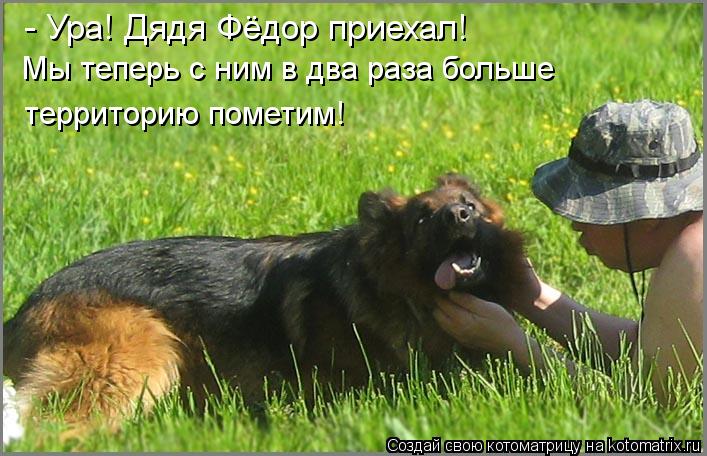 - Ура! Дядя Фёдор приехал! Мы теперь с ним в два раза больше территорию пометим!... Котоматрица: - Ура! Дядя Фёдор приехал! Мы теперь с ним в два раза больше территорию пометим!