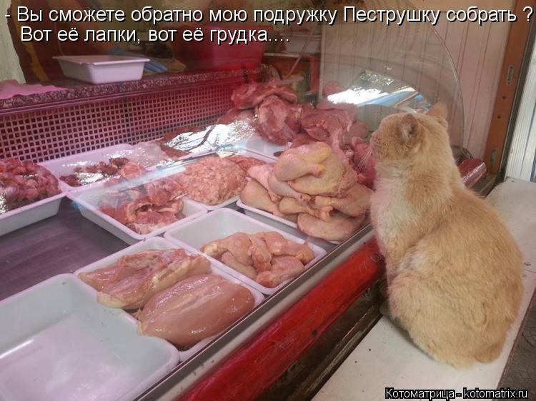 - Вы сможете обратно мою подружку Пеструшку собрать ? Вот её лапки, вот её грудка....... Котоматрица: - Вы сможете обратно мою подружку Пеструшку собрать ? Вот её лапки, вот её грудка....