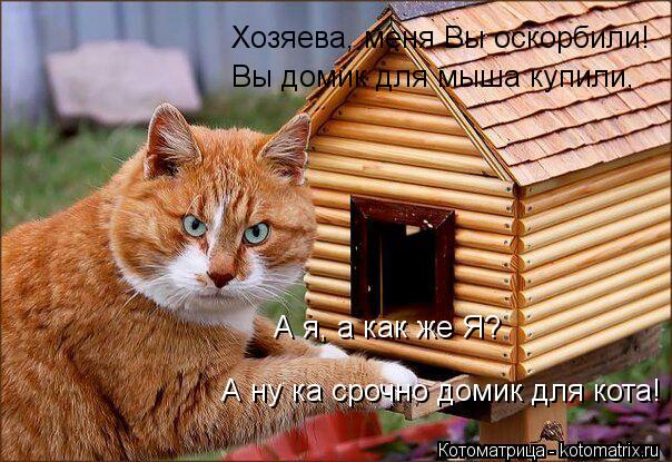 Вы домик для мыша купили, Хозяева, меня Вы оскорбили! А ну ка срочно домик для кота! А я, а как же Я?... Котоматрица: Вы домик для мыша купили, Хозяева, меня Вы оскорбили! А ну ка срочно домик для кота! А я, а как же Я?