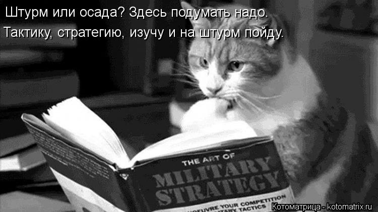 Штурм или осада? Здесь подумать надо. Тактику, стратегию, изучу и на штурм пойду.... Котоматрица: Штурм или осада? Здесь подумать надо. Тактику, стратегию, изучу и на штурм пойду.