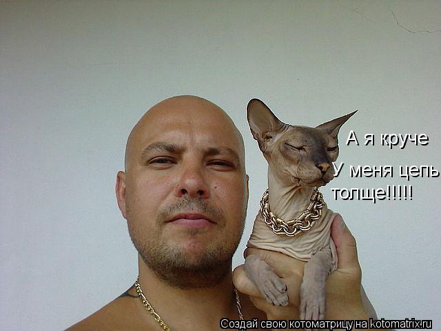 А я круче А я круче У меня цепь толще!!!!! толще!!!!!... Котоматрица: А я круче А я круче У меня цепь толще!!!!! толще!!!!!