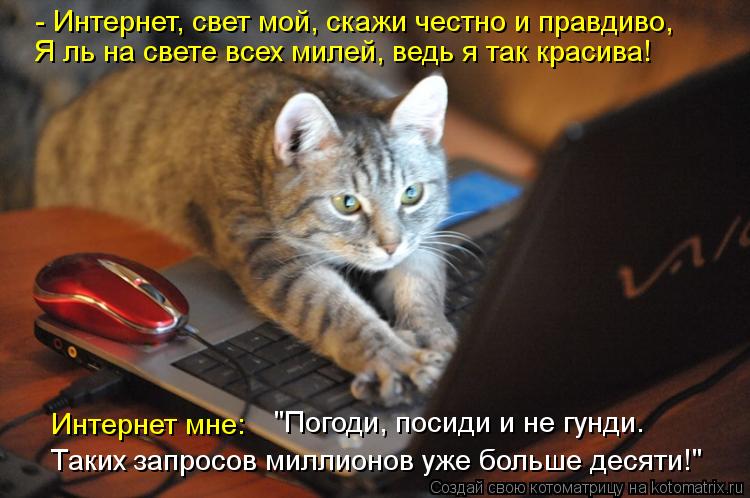 Таких запросов миллионов уже больше десяти!" - Интернет, свет мой, скажи честно и правдиво, Я ль на с... Котоматрица: Таких запросов миллионов уже больше десяти!" - Интернет, свет мой, скажи честно и правдиво, Я ль на свете всех милей, ведь я так красива! Интер