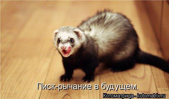 Писк-рычание в будущем.... Котоматрица: Писк-рычание в будущем.