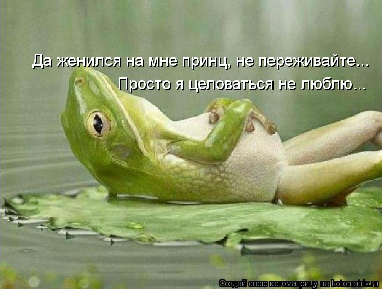 Да женился на мне принц, не переживайте... Просто я целоваться не люблю...... Котоматрица: Да женился на мне принц, не переживайте... Просто я целоваться не люблю...