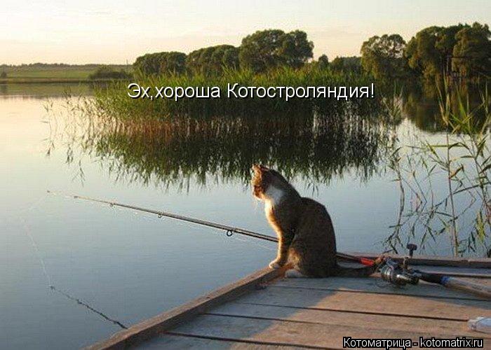 Эх,хороша Котостроляндия!... Котоматрица: Эх,хороша Котостроляндия!