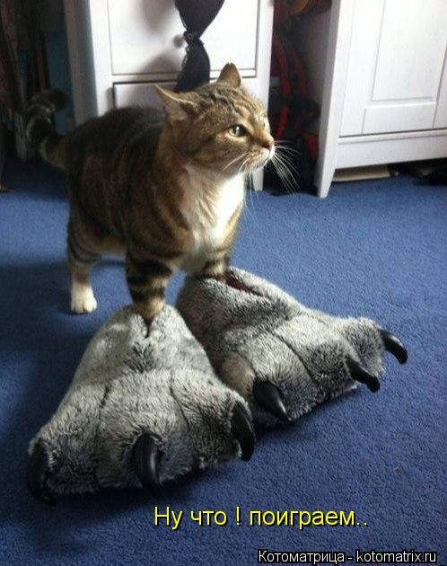 Ну что ! поиграем..... Котоматрица: Ну что ! поиграем..