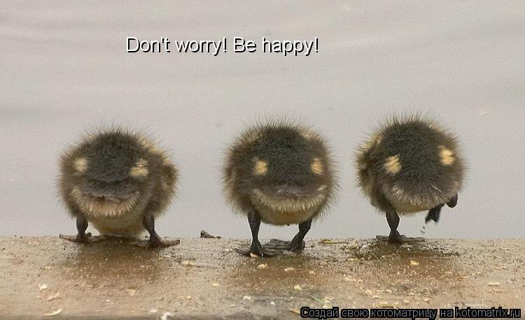 Don't worry! Be happy!... Котоматрица: Don't worry! Be happy!