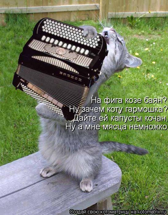Ну зачем коту гармошка? Дайте ей капусты кочан, Ну а мне мясца немножко. На фига козе баян?... Котоматрица: Ну зачем коту гармошка? Дайте ей капусты кочан, Ну а мне мясца немножко. На фига козе баян?