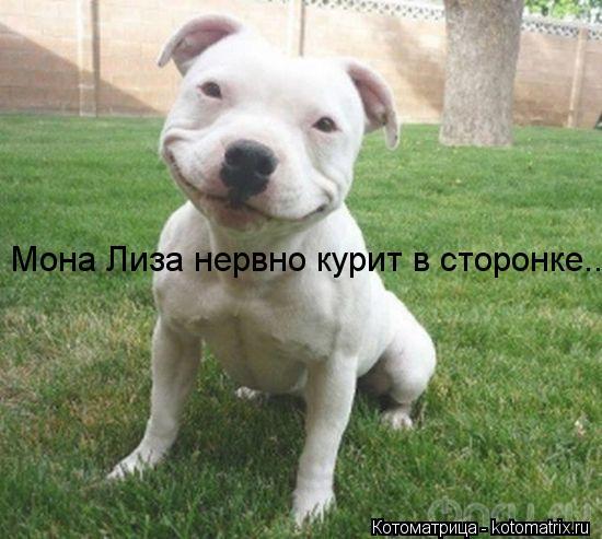Мона Лиза нервно курит в сторонке...... Котоматрица: Мона Лиза нервно курит в сторонке...