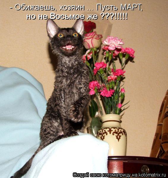 - Обижаешь, хозяин ... Пусть МАРТ, но не Восьмое же ???!!!!!... Котоматрица: - Обижаешь, хозяин ... Пусть МАРТ, но не Восьмое же ???!!!!!