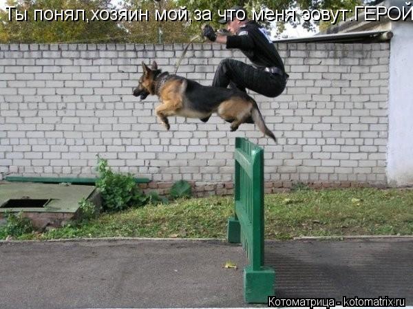 Ты понял,хозяин мой,за что меня эовут:ГЕРОЙ?... Котоматрица: Ты понял,хозяин мой,за что меня эовут:ГЕРОЙ?