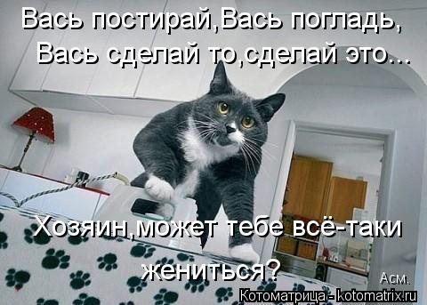 Вась постирай,Вась погладь, Вась сделай то,сделай это... Хозяин,может тебе всё-таки жениться? Асм.... Котоматрица: Вась постирай,Вась погладь, Вась сделай то,сделай это... Хозяин,может тебе всё-таки жениться? Асм.
