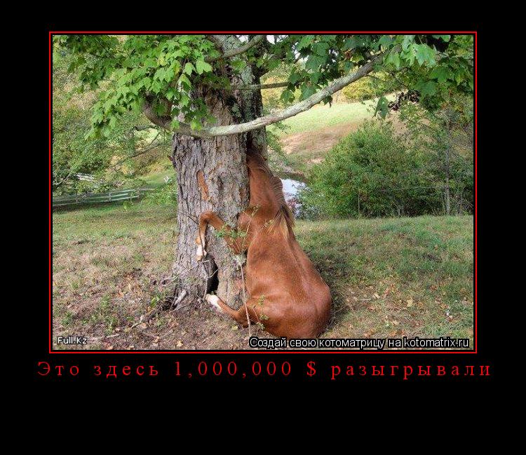 Это здесь 1,000,000 $ разыгрывали ... Котоматрица: Это здесь 1,000,000 $ разыгрывали