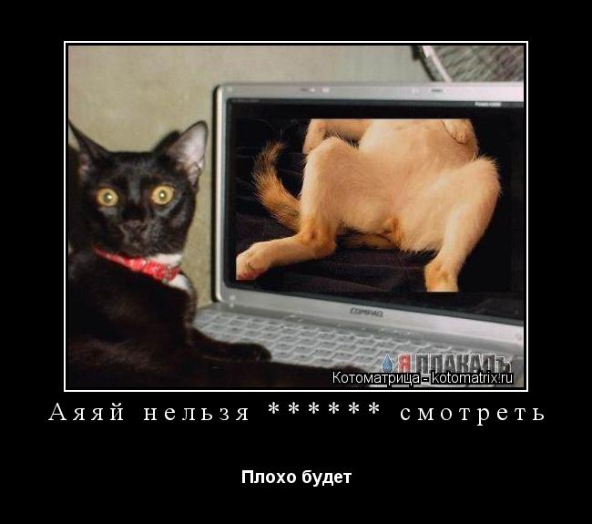 Аяяй нельзя ****** смотреть Плохо будет... Котоматрица: Аяяй нельзя ****** смотреть Плохо будет