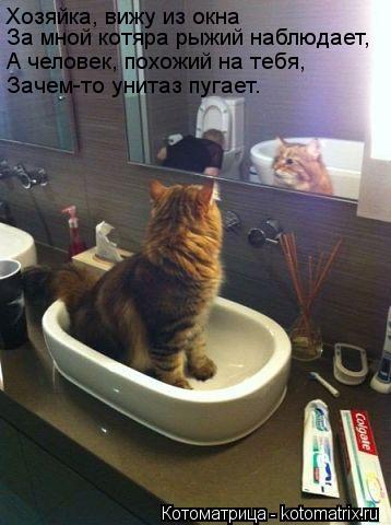 Хозяйка, вижу из окна За мной котяра рыжий наблюдает, А человек, похожий на тебя, Зачем-то унитаз пуг... Котоматрица: Хозяйка, вижу из окна За мной котяра рыжий наблюдает, А человек, похожий на тебя, Зачем-то унитаз пугает.