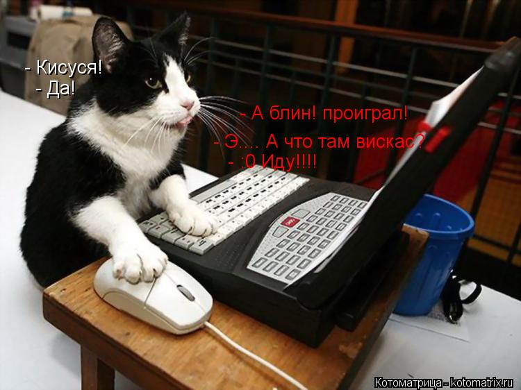 - А блин! проиграл! - Кисуся! - Э.... А что там вискас? - Да! - :0 Иду!!!!... Котоматрица: - А блин! проиграл! - Кисуся! - Э.... А что там вискас? - Да! - :0 Иду!!!!