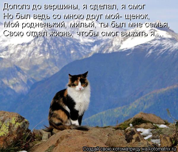 Дополз до вершины, я сделал, я смог Но был ведь со мною друг мой- щенок, Мой родненький, милый, ты бы... Котоматрица: Дополз до вершины, я сделал, я смог Но был ведь со мною друг мой- щенок, Мой родненький, милый, ты был мне семья, Свою отдал жизнь, чтобы смог вы