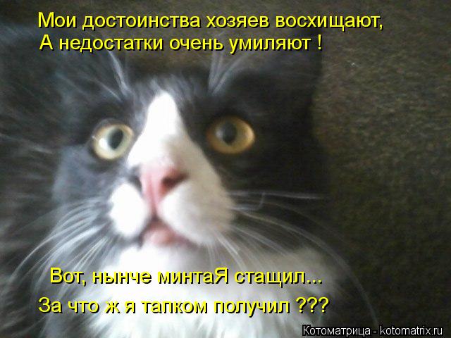 Мои достоинства хозяев восхищают, А недостатки очень умиляют ! Вот, нынче минтаЯ стащил... За что ж... Котоматрица: Мои достоинства хозяев восхищают, А недостатки очень умиляют ! Вот, нынче минтаЯ стащил... За что ж я тапком получил ???