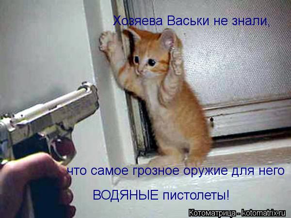 Хозяева Васьки не знали, что самое грозное оружие для него ВОДЯНЫЕ пистолеты!... Котоматрица: Хозяева Васьки не знали, что самое грозное оружие для него ВОДЯНЫЕ пистолеты!