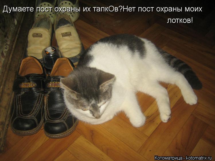 Думаете пост охраны их тапкОв?Нет пост охраны моих лотков!... Котоматрица: Думаете пост охраны их тапкОв?Нет пост охраны моих лотков!