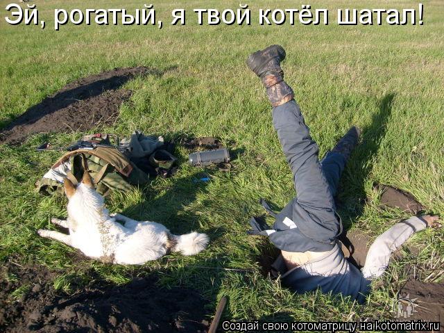Эй, рогатый, я твой котёл шатал!... Котоматрица: Эй, рогатый, я твой котёл шатал!