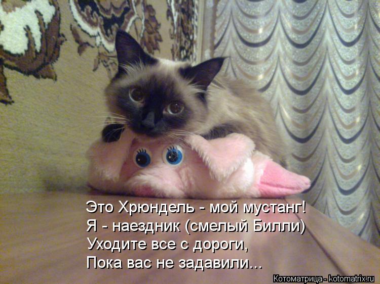 Это Хрюндель - мой мустанг! Я - наездник (смелый Билли) Уходите все с дороги, Пока вас не задавили.... Котоматрица: Это Хрюндель - мой мустанг! Я - наездник (смелый Билли) Уходите все с дороги, Пока вас не задавили...