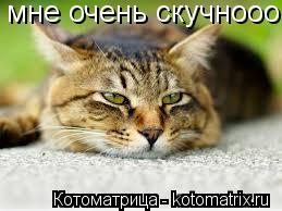 мне очень скучнооо... Котоматрица: мне очень скучнооо