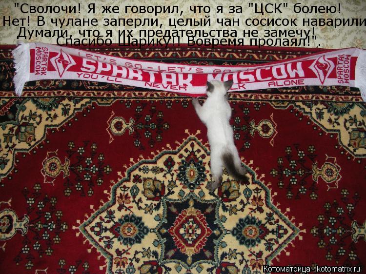 "Сволочи! Я же говорил, что я за "ЦСК" болею! Нет! В чулане заперли, целый чан сосисок наварили Думал... Котоматрица: "Сволочи! Я же говорил, что я за "ЦСК" болею! Нет! В чулане заперли, целый чан сосисок наварили Думали, что я их предательства не замечу! Спасиб