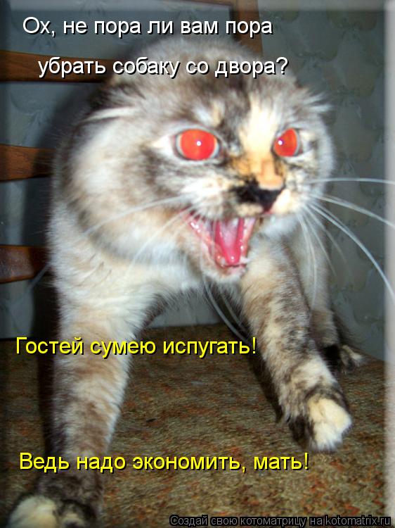 Ох, не пора ли вам пора убрать собаку со двора? Гостей сумею испугать! Ведь надо экономить, мать!... Котоматрица: Ох, не пора ли вам пора убрать собаку со двора? Гостей сумею испугать! Ведь надо экономить, мать!