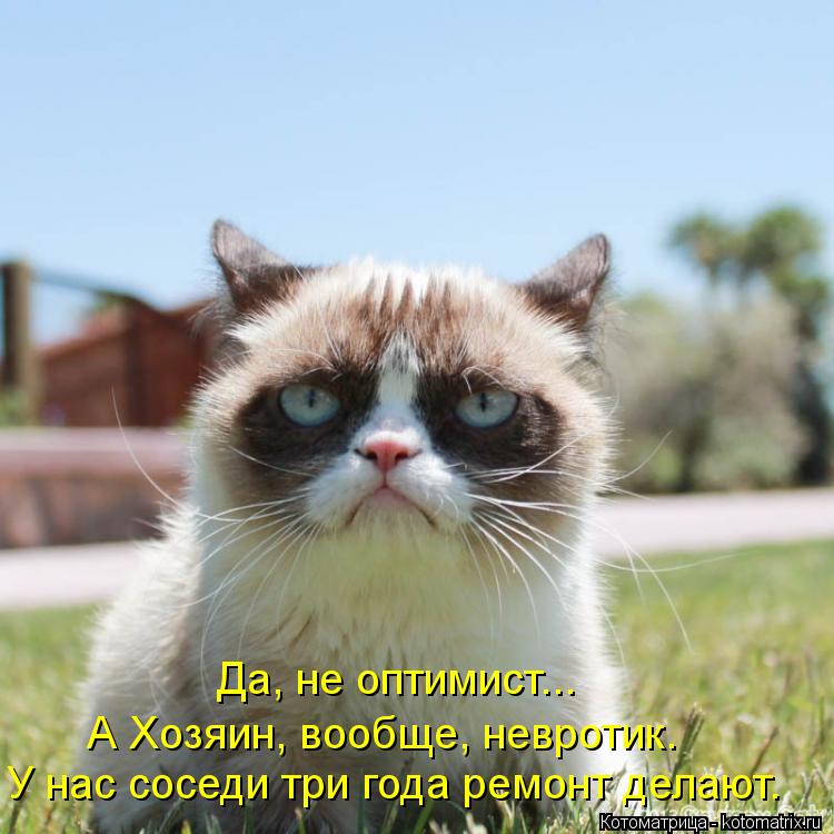 Да, не оптимист... А Хозяин, вообще, невротик. У нас соседи три года ремонт делают.... Котоматрица: Да, не оптимист... А Хозяин, вообще, невротик. У нас соседи три года ремонт делают.